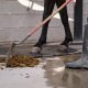 Close up of a farm worker cleaning horse excrements.