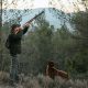 Man with rifle hunting in woods with dog