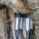 dairy-farm-5155257_1280