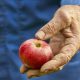 harvest-2733443_1280