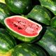 healthy-3301375_1280