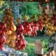 onion-2060157_1280
