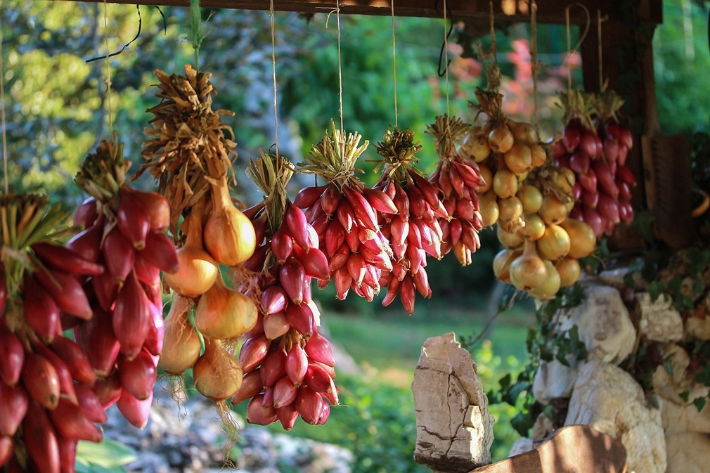 onion-2060157_1280