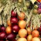 onions-3631262_1280