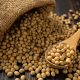 Soy bean on white table background.