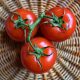 tomatoes-3520004_1280