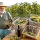 Senior winemaker with wine and grapes on the vineyard