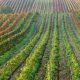 countryside-9352596_1920