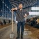 Farmer at cowshed with pitchfork cleaning up