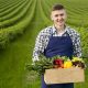 man-holding-basket-with-vegetables