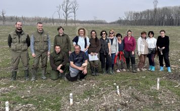 JP „Vojvodinašume“ i Šumarski fakultet zasnovali oglednu površinu hrasta lužnjaka