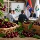 Sastanak proizvođača višanja i Ministarstva poljoprivrede (3)