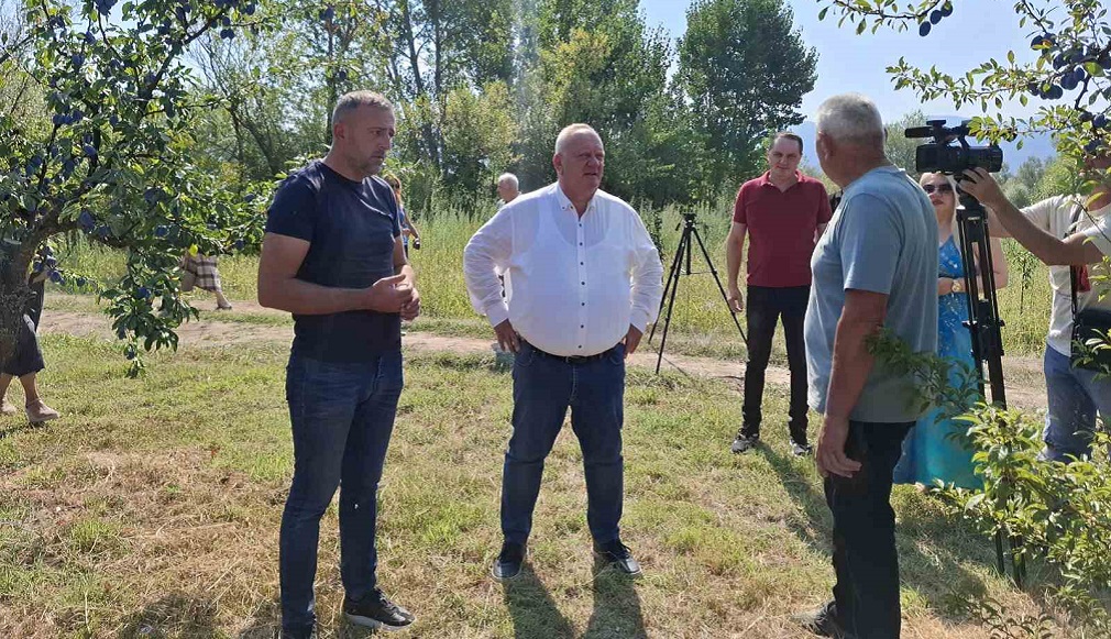 U voćnjaku Apostolovića dobar rod krušaka (2)