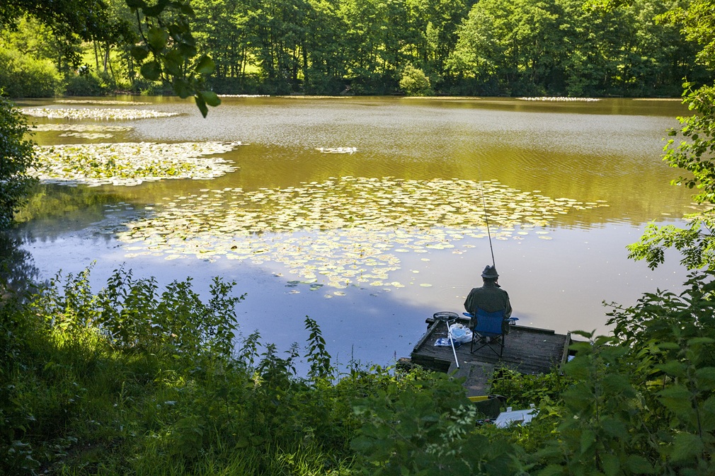 back-view-person-coarse-fishing-lake-wiltshire-uk-early-morning