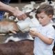 close-up-man-pouring-milk-little-boy