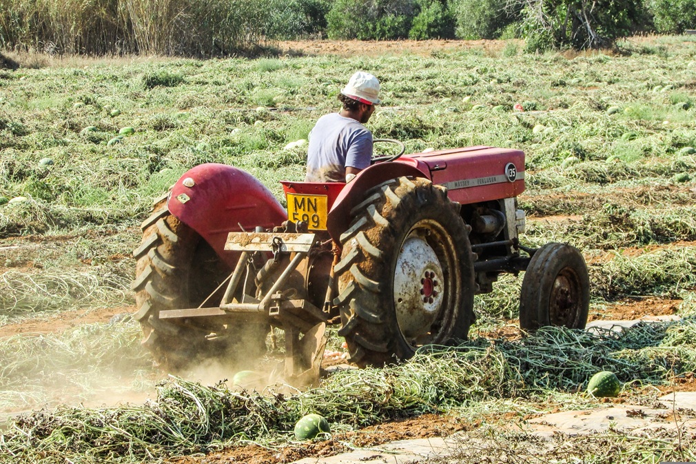 dimitrisvetsikas1969-tractor-2413341