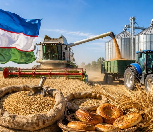 Uzbekistan požnjeo rekordnih 10 miliona tona žitarica