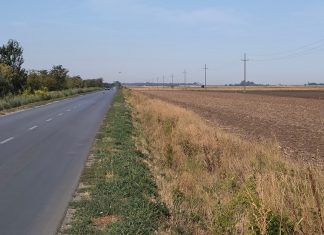 Više od 2.000 sadnica za novi vetrozaštitni pojas u Adi