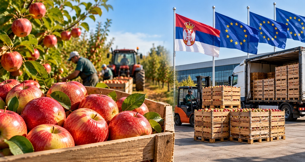 Slabiji rod jabuka u Evropi otvara šansu srpskim izvoznicima (2)