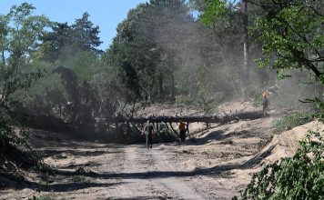 Utvrđene razmere požara na Deliblatskoj peščari: Opožareno više od 11.000 hektara